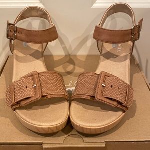 Dr. Scholls Original Collection